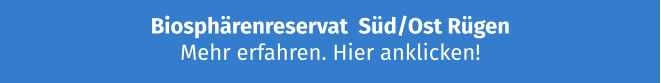 Biosphärenreservat  Süd/Ost Rügen Mehr erfahren. Hier anklicken!