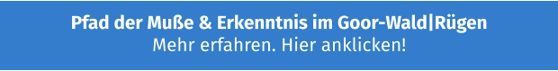 Pfad der Muße & Erkenntnis im Goor-Wald|Rügen  Mehr erfahren. Hier anklicken!
