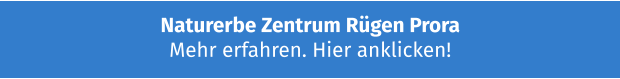 Naturerbe Zentrum Rügen Prora Mehr erfahren. Hier anklicken!
