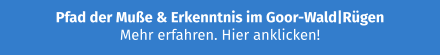 Pfad der Muße & Erkenntnis im Goor-Wald|Rügen  Mehr erfahren. Hier anklicken!