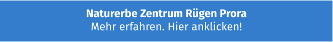 Naturerbe Zentrum Rügen Prora Mehr erfahren. Hier anklicken!